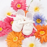 ベビードレス＆七五三用ドレスのページへ